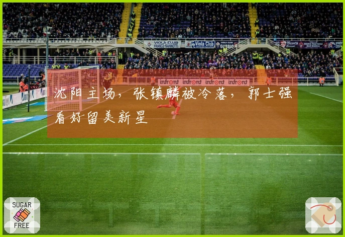 沈阳主场，张镇麟被冷落，郭士强看好留美新星