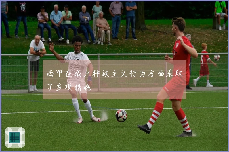 西甲在减少种族主义行为方面采取了多项措施