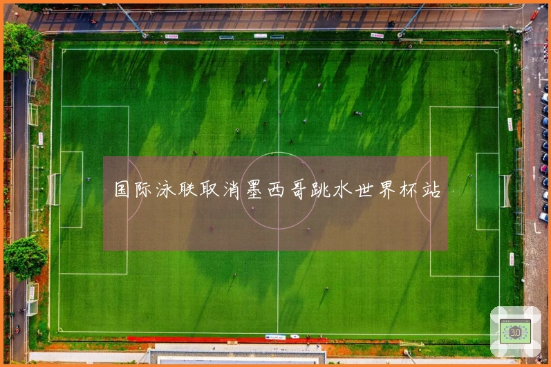 国际泳联取消墨西哥跳水世界杯站